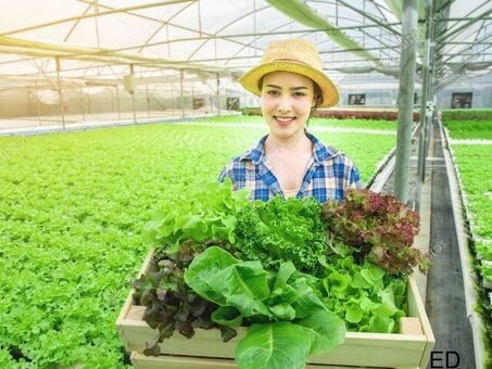 Агроном по выращиванию и уходу за овощами вахта+проживание+питание