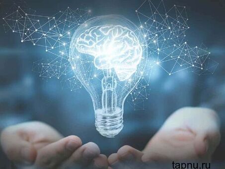 Оценка объектов интеллектуальной собственности во Владивостоке
